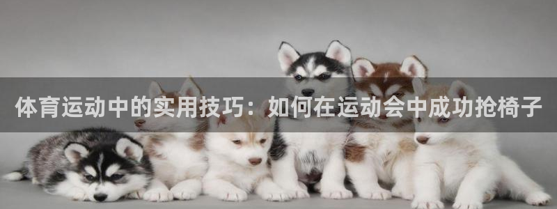 Betway体育官网入口：体育运动中的实用技巧：如何在运动会中成功抢椅子
