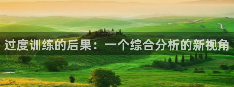 betway官网入口官网：过度训练的后果：一个综合分析的新视角