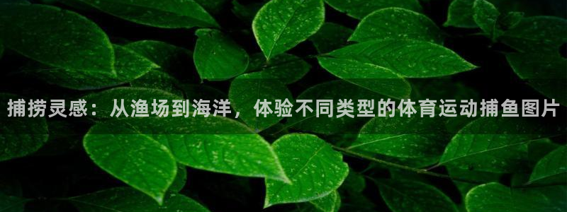 Betway立即登录：捕捞灵感：从渔场到海洋，体验不同类型的体育运动捕鱼图片
